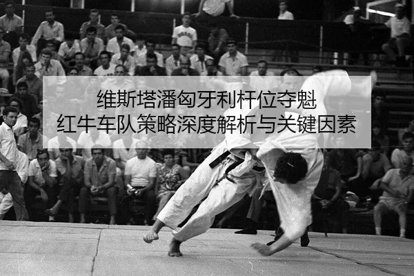 wei-si-ta-pan-xiong-ya-li-gan-wei-duo-kui-hong-niu-che-dui-ce-lve-shen-du-jie-xi-yu-guan-jian-yin-su-2-436.jpg